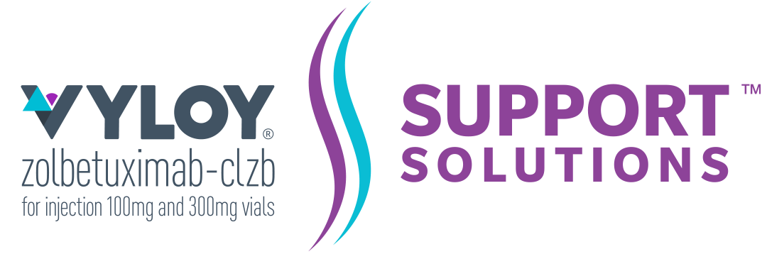 VYLOY Support Solutions homepage.